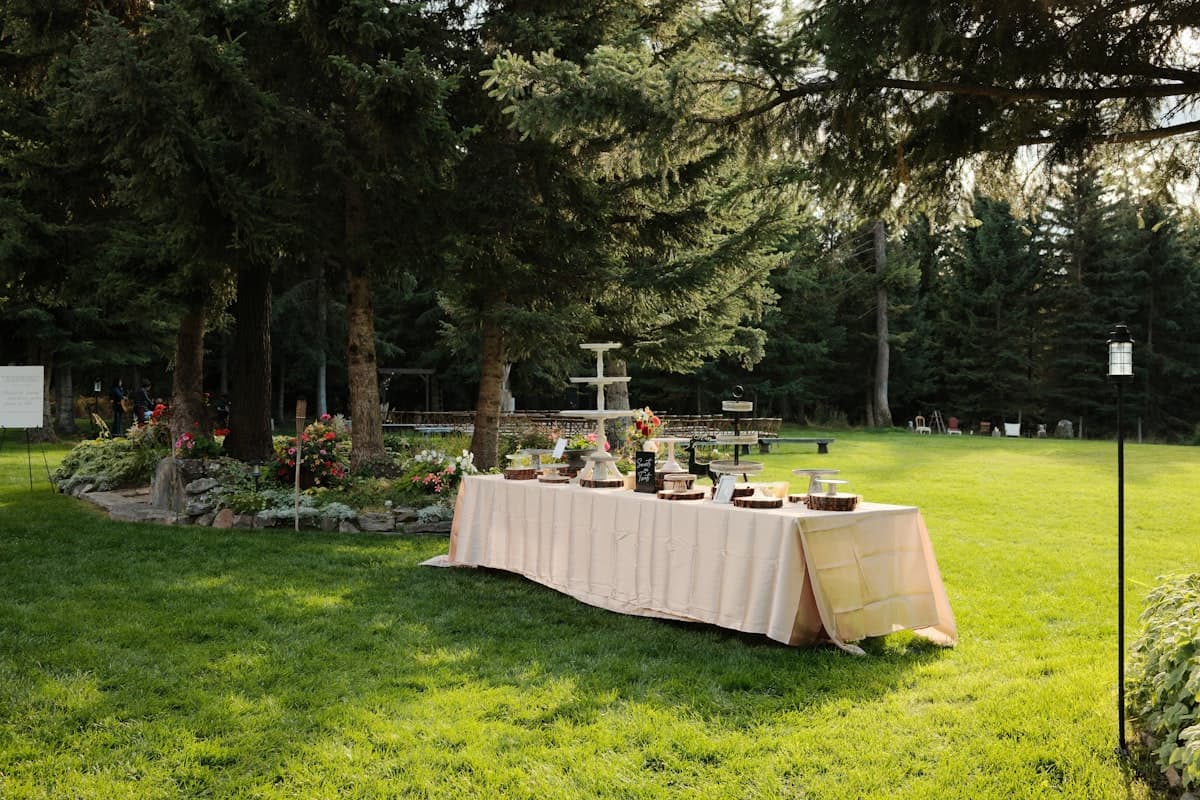 A long banquet table set on a lawn